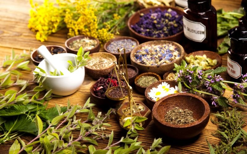 Ayurvedic Herbs