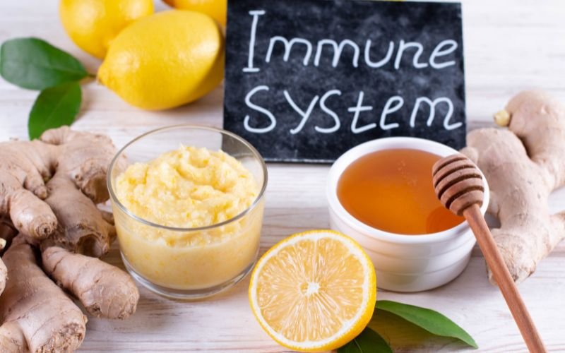 nutraceuticals for immune enhancement